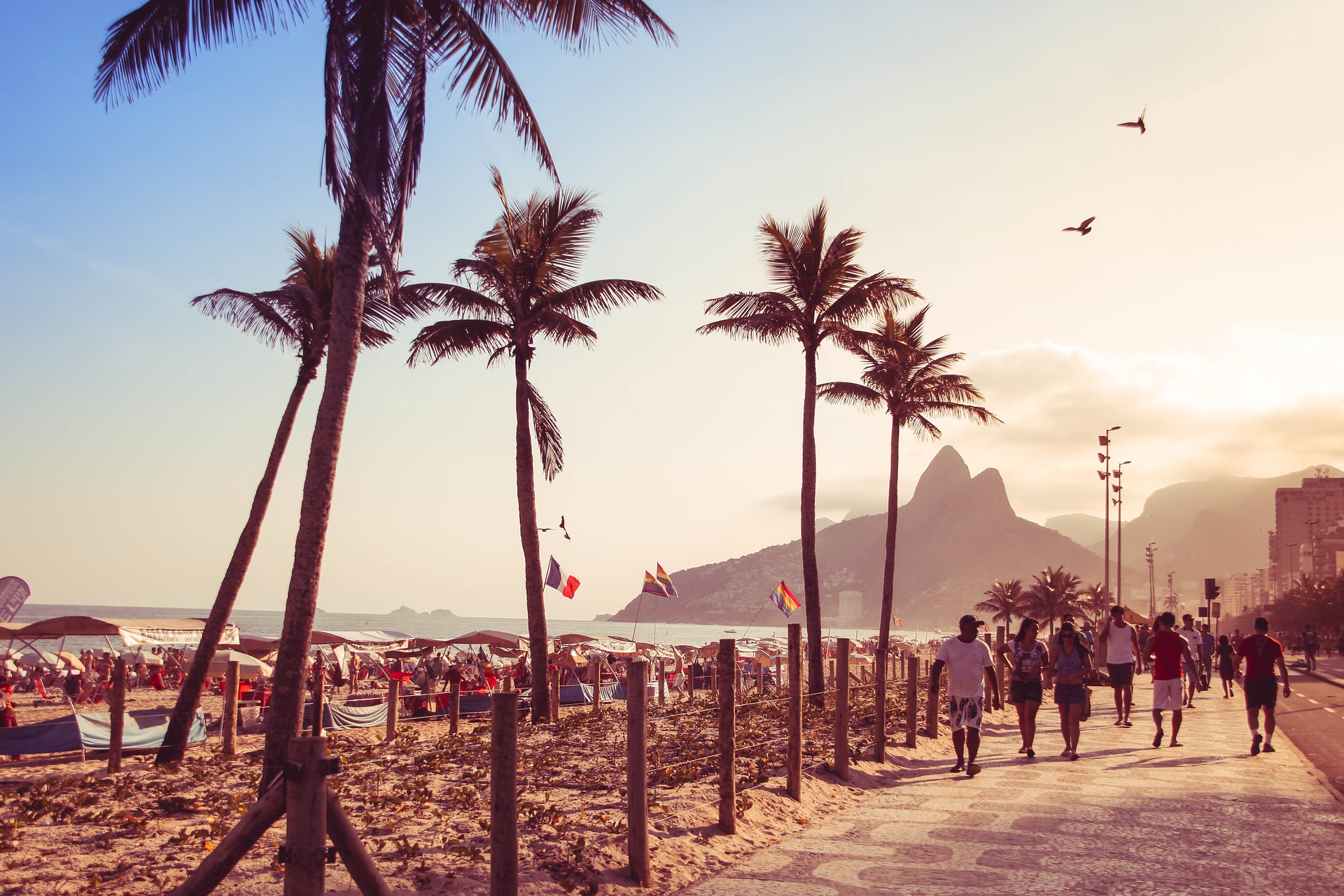 palme ipanema plaža